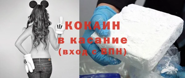 гашик Алексеевка