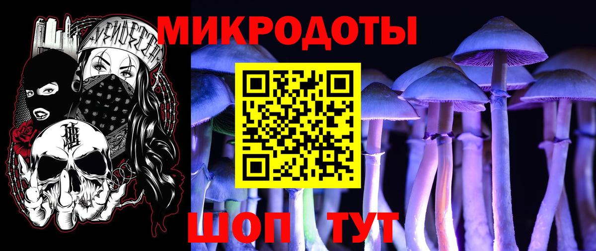 Псилоцибиновые грибы Psilocybe Мичуринск